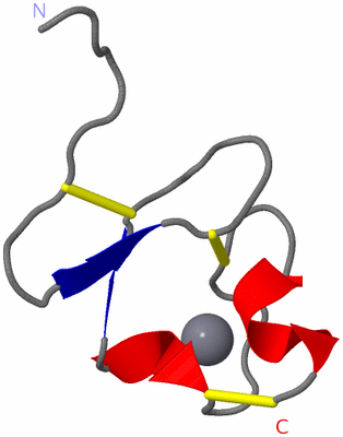 Image NMR Structure - model 1