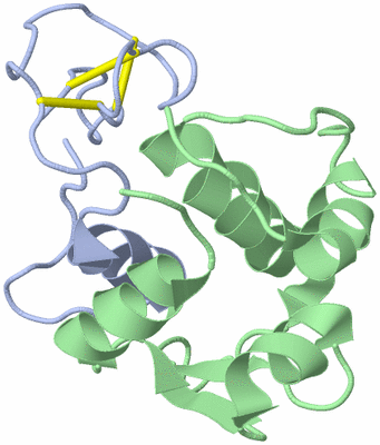 Image NMR Structure - model 1