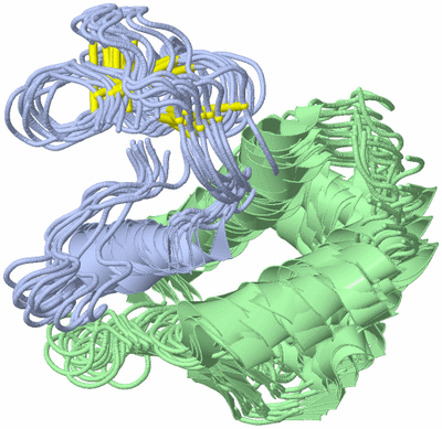 Image NMR Structure - all models