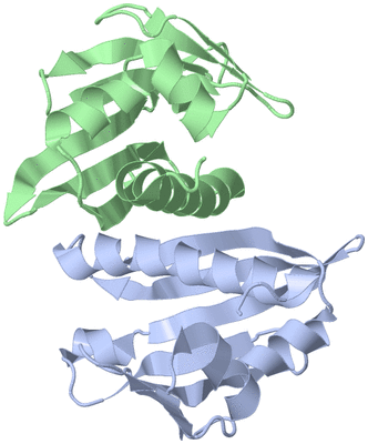 Image NMR Structure - model 1