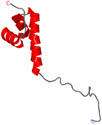 Image NMR Structure - model 1