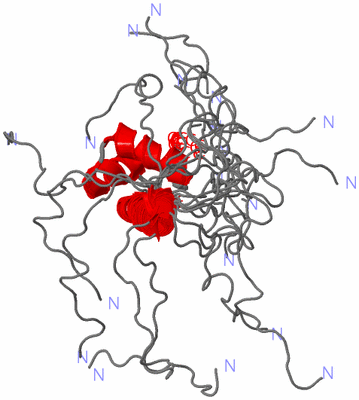 Image NMR Structure - all models