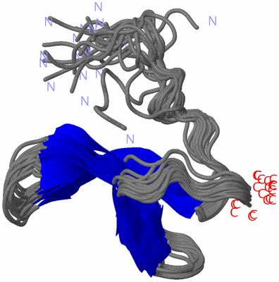 Image NMR Structure - all models