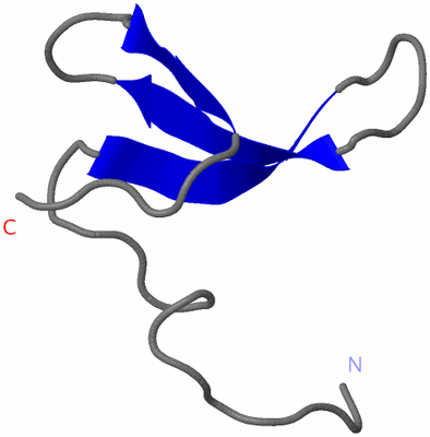 Image NMR Structure - model 1