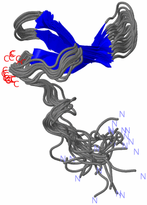 Image NMR Structure - all models