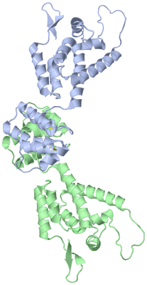 Image NMR Structure - model 1