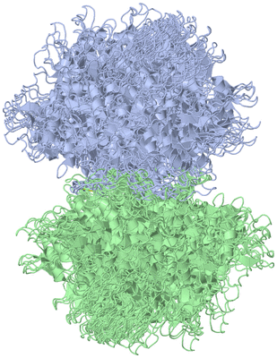 Image NMR Structure - all models