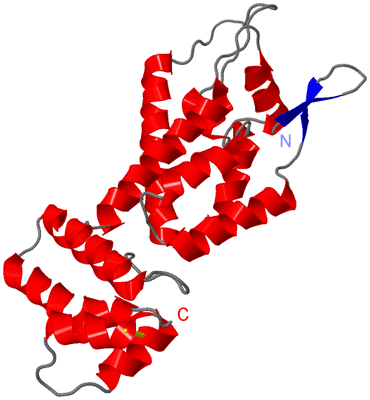 Image NMR Structure - model 1