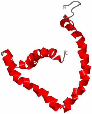 Image NMR Structure - model 1