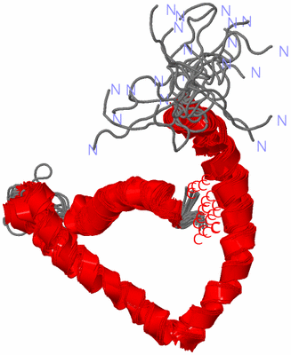 Image NMR Structure - all models