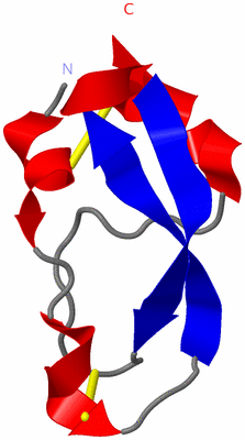 Image NMR Structure - model 1