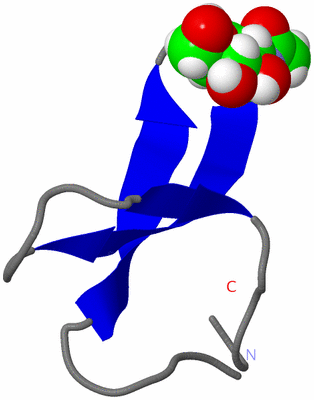 Image NMR Structure - model 1