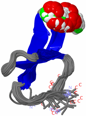 Image NMR Structure - all models