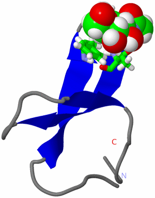 Image NMR Structure - model 1, sites