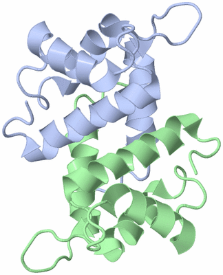 Image NMR Structure - model 1