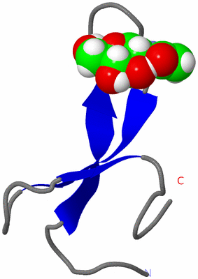 Image NMR Structure - model 1