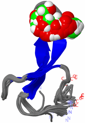 Image NMR Structure - all models