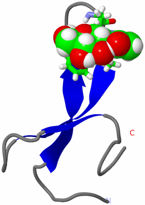 Image NMR Structure - model 1, sites