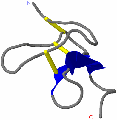 Image NMR Structure - model 1