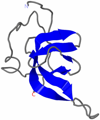 Image NMR Structure - model 1