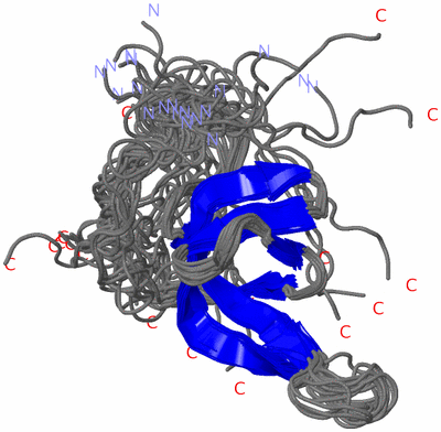 Image NMR Structure - all models