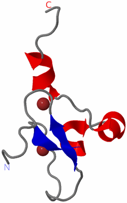 Image NMR Structure - model 1