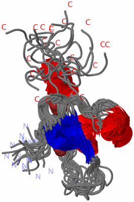 Image NMR Structure - all models