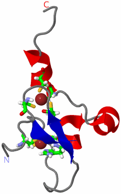 Image NMR Structure - model 1, sites