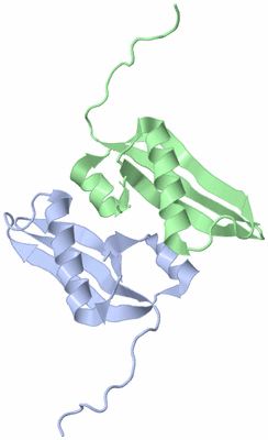 Image NMR Structure - model 1