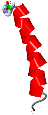 Image NMR Structure - model 1, sites