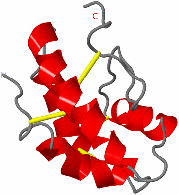 Image NMR Structure - model 1