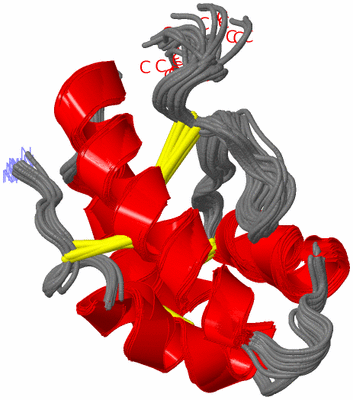 Image NMR Structure - all models