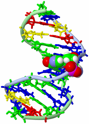 Image NMR Structure - model 1