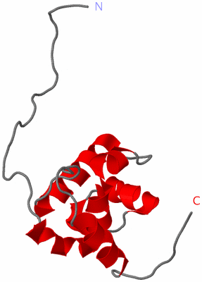 Image NMR Structure - model 1