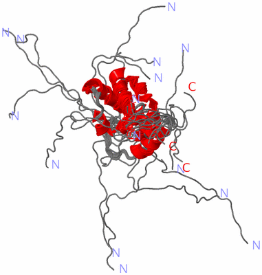 Image NMR Structure - all models