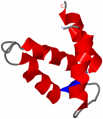 Image NMR Structure - model 1