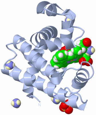 Image Biological Unit 1