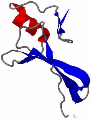 Image NMR Structure - model 1