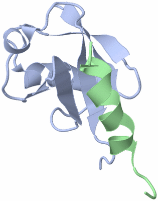 Image NMR Structure - model 1