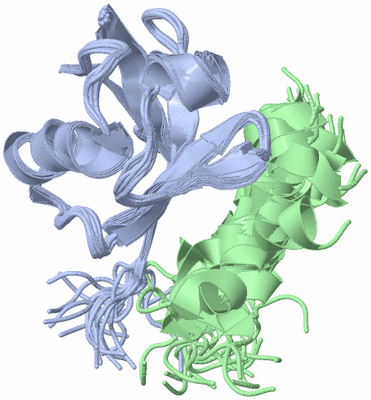 Image NMR Structure - all models