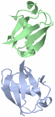 Image NMR Structure - model 1