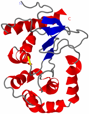 Image NMR Structure - model 1