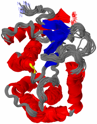 Image NMR Structure - all models