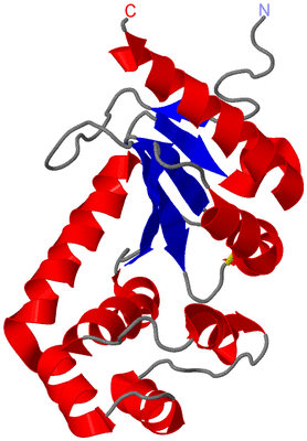 Image NMR Structure - model 1