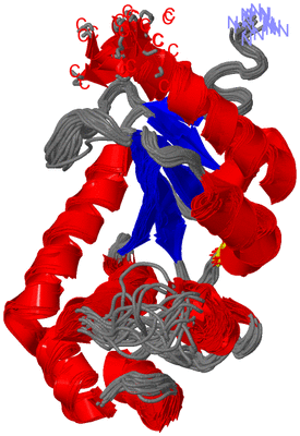 Image NMR Structure - all models