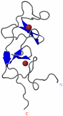 Image NMR Structure - model 1