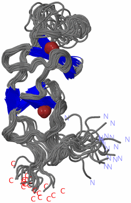 Image NMR Structure - all models