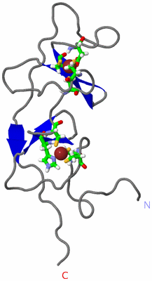 Image NMR Structure - model 1, sites