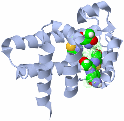 Image NMR Structure - model 1