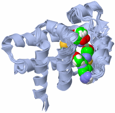 Image NMR Structure - all models